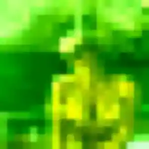 Découvre Nelly, 42 ans à Gonfreville-l'Orcher gratuitement