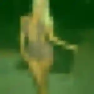 Sixtine, 32 ans, connectée à Gouesnou pour un plan cul