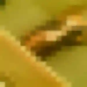 Photo sexy de Blanche, 28 ans à Gradignan - rencontre sans lendemain