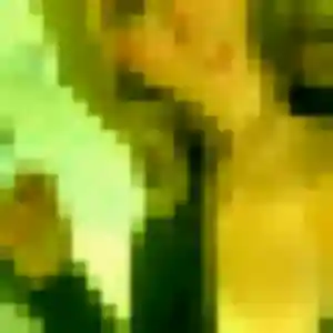 Thais (36 ans) à Grandchamp-des-Fontaines attend un plan cul ce soir