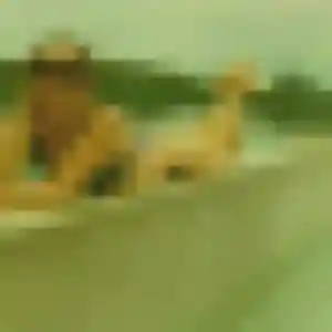 Sexy Myriam, 34 ans à Grenade - la contacter