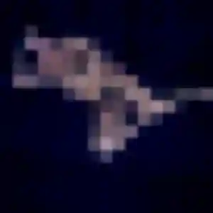 plan cul à Grézieu-la-Varenne : photo de Yvette, 19 ans - inscription gratuite