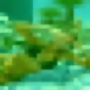 Dina, femme de 23 ans cherche plan cul à Grigny