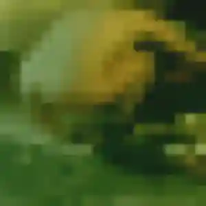 plan cul à Grigny : photo de Zina, 25 ans - accès libre