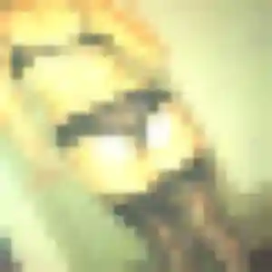 Joana, 41 ans, connectée à Gruissan pour une rencontre coquine