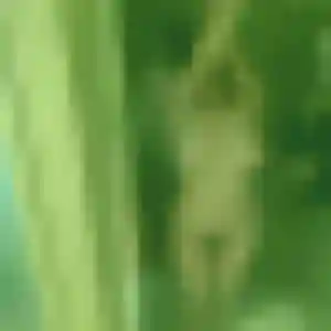 Erika de Guebwiller, 19 ans - plan cul sans lendemain