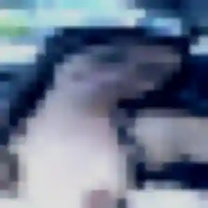 Photo perso de Bettina, 22 ans à Gueugnon - rencontre coquine