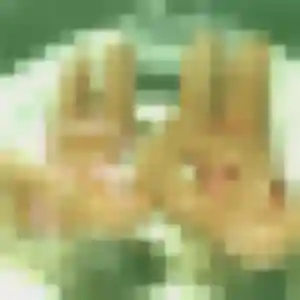 Belle Severine, 37 ans à Habsheim - découvrir son profil