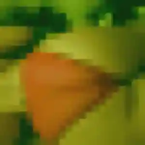 Blandine, 24 ans, connectée à Haguenau pour une rencontre coquine