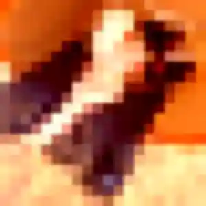 Sexy Phoebe, 37 ans à Halluin - découvrir son profil