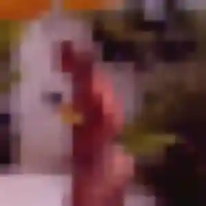 Photo de Vera à Harnes (23 ans) - plan cul discret