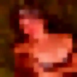 Clara, 31 ans, en ligne à Haute-Goulaine pour une rencontre coquine