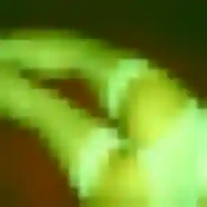 Photo sexy de Amira, 21 ans à Hautmont - rencontre sans lendemain