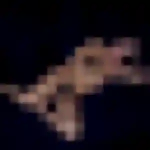 plan cul à Hazebrouck : profil de Anne-Sophie, 39 ans - sans engagement