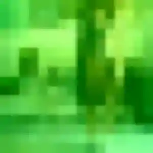 Rencontre Lisette, 37 ans à Heillecourt en privé