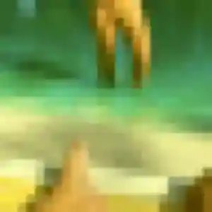 plan cul à Hem : profil de Agathe, 27 ans - inscription gratuite