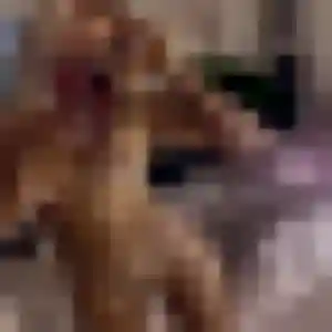 Angelique de Héricourt, 44 ans - plan cul discret