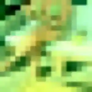 Agnes, fille de 21 ans cherche plan cul à Hersin-Coupigny