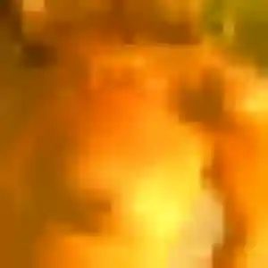 Rencontre Bertrane, 37 ans à Hœnheim en t'inscrivant