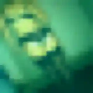 Rencontre Fabienne, 44 ans à Hombourg-Haut en t'inscrivant