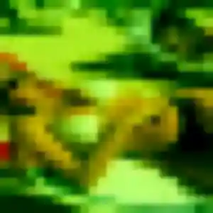 Alix, 36 ans, disponible à Houplines pour un plan cul