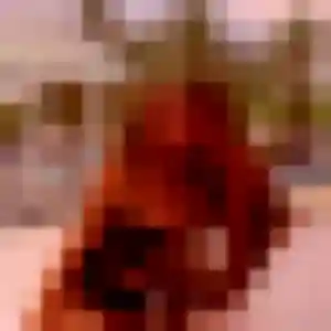 Therese (30 ans) à Houplines propose une rencontre ce soir