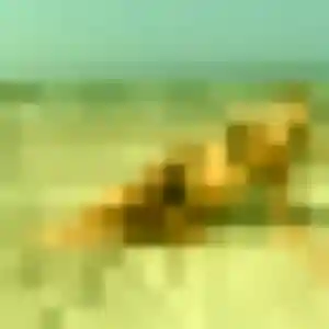 Jacqueline de Hyères, 38 ans - plan cul discret