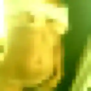 Photo sexy de Nadia, 33 ans à Hyères - rencontre sans lendemain