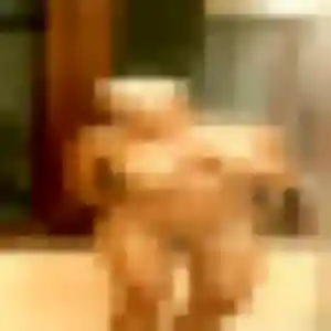 Ingrid (38 ans) à Irigny attend un plan cul rapidement