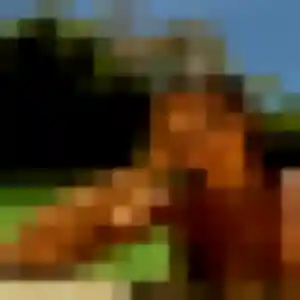 Karima, 28 ans, en ligne à Issy-les-Moulineaux pour un plan cul