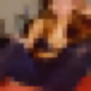 Photo de Mia à Jarville-la-Malgrange (21 ans) - plan cul sans inscription