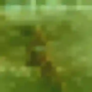 Ingrid, 43 ans, en ligne à Jassans-Riottier pour une rencontre coquine