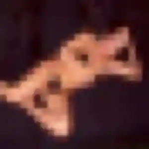 Valentine (27 ans) à Jeumont attend un plan cul maintenant