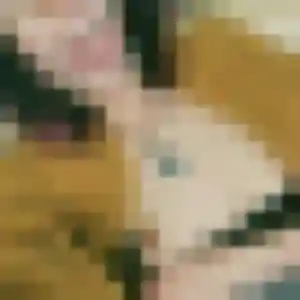 Rencontre Honorine, 30 ans à Jurançon en t'inscrivant