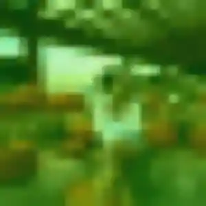 Laetitia, 40 ans, disponible à Juvisy-sur-Orge pour un plan cul