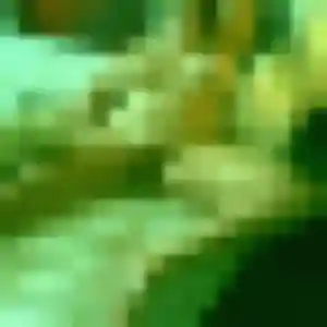 Raphaelle (31 ans) à L'Aigle attend un plan cul aujourd'hui