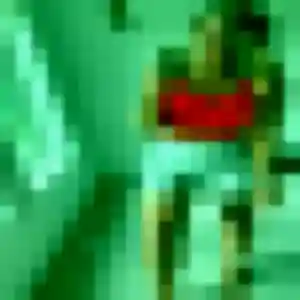 Contacte Theresa, 21 ans à L'Étang-Salé en privé