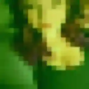 Regine, 36 ans, veut un plan cul à L'Hôpital