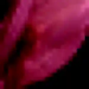 Frederique de L'Île-Saint-Denis, 36 ans - plan cul en toute liberté