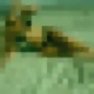 Emeraude, 34 ans, en ligne à L'Union pour un plan cul