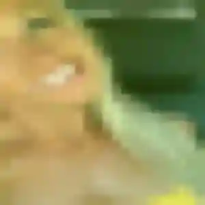 Sexy Adele, 20 ans à La Bouilladisse - voir sa photo