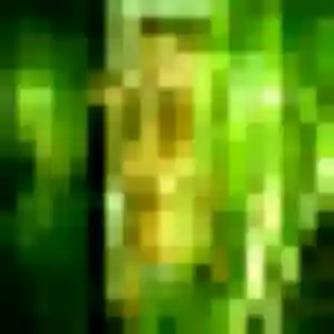 Découvre Elsa, 26 ans à La Bouilladisse en t'inscrivant