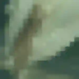 Rejoins Lise, 36 ans à La Chapelle-d'Armentières en privé