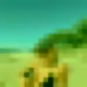 Rejoins Blanche, 45 ans à La Chapelle-Saint-Luc en t'inscrivant