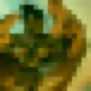 Patricia, 37 ans, en ligne à La Chapelle-Saint-Mesmin pour une rencontre coquine