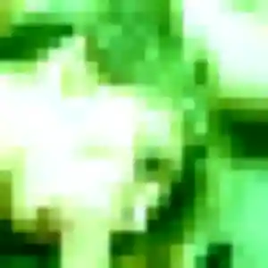 Monique, 36 ans, connectée à La Courneuve pour une rencontre coquine