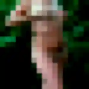 Leonore de La Couronne, 31 ans - plan cul sans lendemain