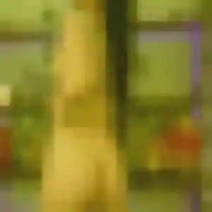 Photo sexy de Leila, 42 ans à La Fare-les-Oliviers - plan discret