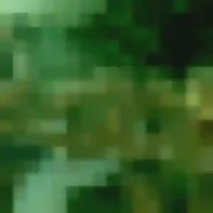 Belle Louise, 23 ans à La Fare-les-Oliviers - voir sa photo