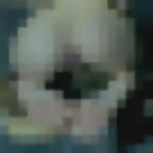 Découvre Constance, 43 ans à La Ferté Macé en privé